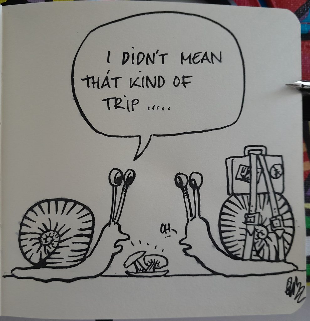 Two snails, the right one has a suitcase strapped to the top of his shell. In between the snails is a small plate with some mushrooms. The left snail says: "I didn't mean thát kind of trip .....". The snail with the suitcase says: "oh...". 